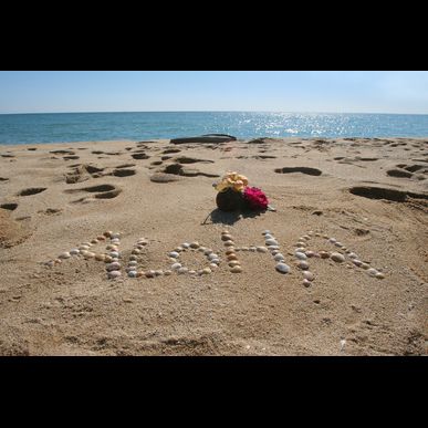 東京のフラダンススクールは口コミでもご好評いただいております